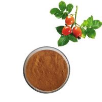 ANTI-OXIDANT,SKIN WELLNESS