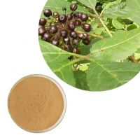 Siberian Ginseng (Eleuthero) Extract