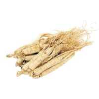 White Panax Ginseng Roots