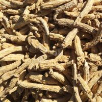 ANTI-AGING,ANTI-CANCER,ANTI-FATIQUE,IMMUNITY BOOSTING,MEN'S WELLNESS,MENTAL WELLNESS