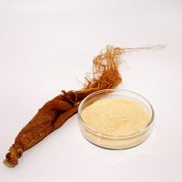 Red Panax Ginseng Extract