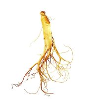 ANTI-AGING,ANTI-CANCER,ANTI-FATIQUE,IMMUNITY BOOSTING,MEN'S WELLNESS