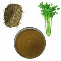 JOINTS& BONE WELLNESS