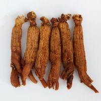 ANTI-AGING,ANTI-CANCER,ANTI-FATIQUE,IMMUNITY BOOSTING,MEN'S WELLNESS,MENTAL WELLNESS,WOMEN'S WELLNESS